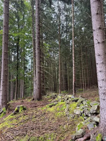 Prodej podílu pole, Nicov, 2230 m2