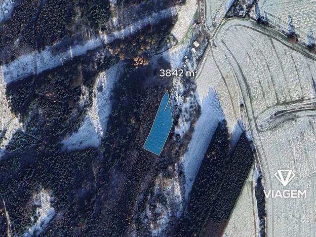 Prodej lesa, Česká Třebová, 3842 m2