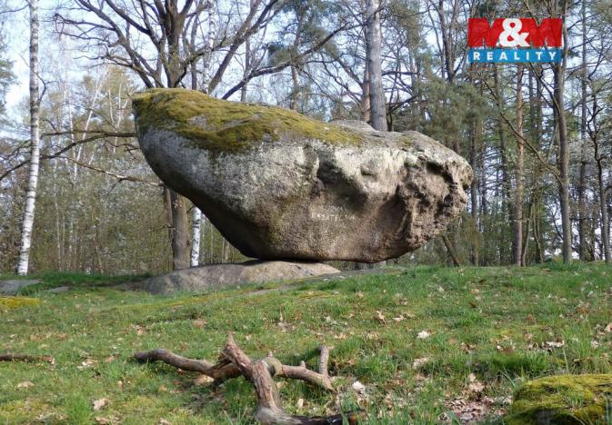 Prodej lesa, Petrovice - Žemličkova Lhota, 3719 m2