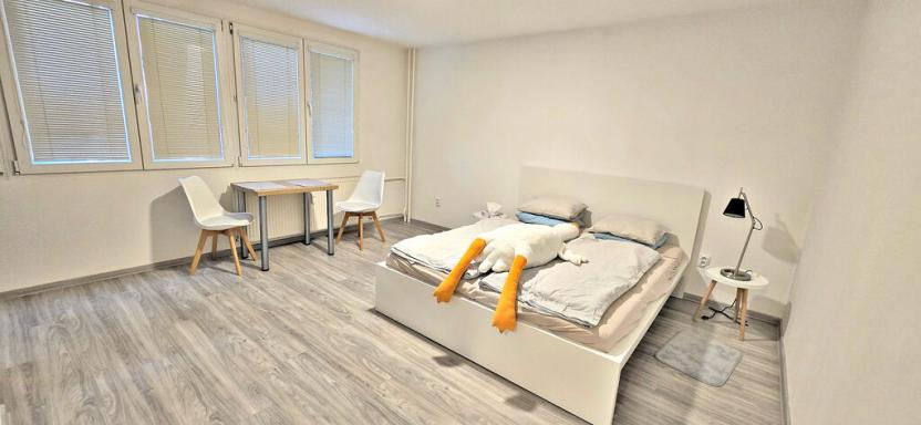 Pronájem bytu 1+kk, Pardubice - Polabiny, Nová, 32 m2