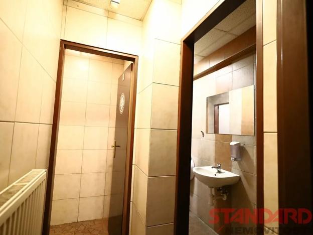 Pronájem obchodního prostoru, Nepomuk, Na Vinici I., 120 m2