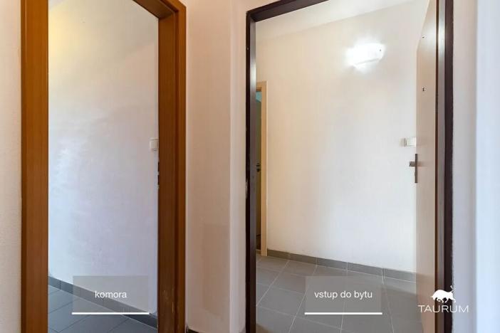 Prodej bytu 3+kk, Plzeň, K Dolovu, 63 m2