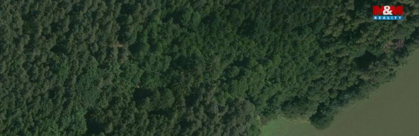 Prodej lesa, Libín - Slavošovice, 32765 m2