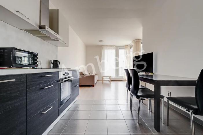 Pronájem bytu 2+kk, Praha - Žižkov, Olgy Havlové, 54 m2