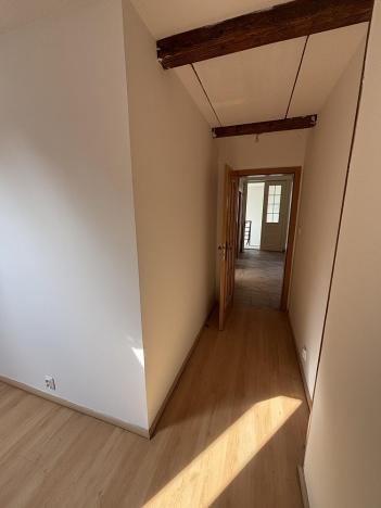 Pronájem rodinného domu, Ostrava, Křížkovského, 300 m2