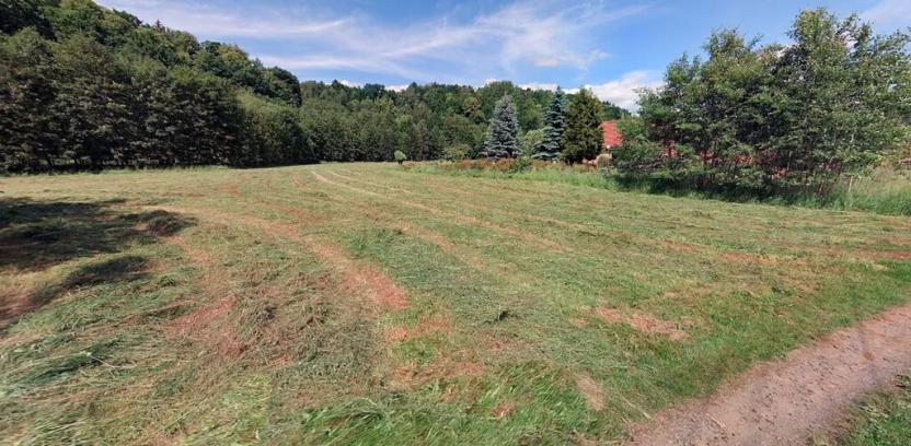 Prodej pozemku pro bydlení, Chotěvice, 4127 m2