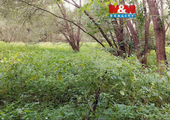 Prodej louky, Bystřice, 682 m2