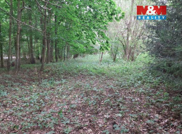 Prodej louky, Bystřice, 682 m2