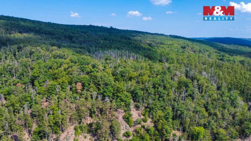 Prodej pozemku pro bydlení, Nižbor - Žloukovice, 2251 m2