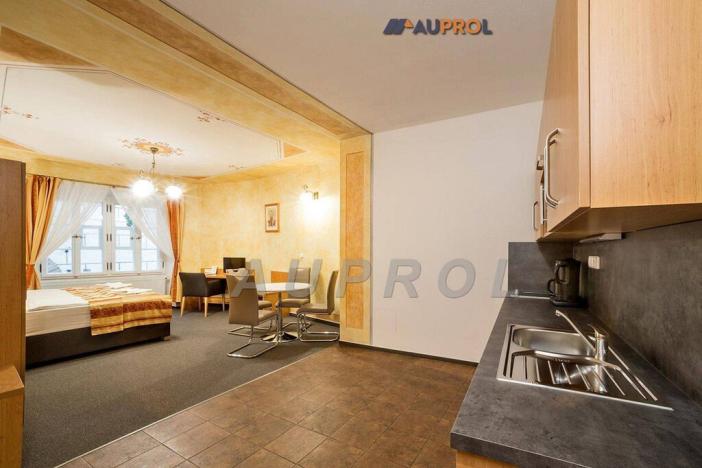 Prodej ubytování, Český Krumlov - Vnitřní Město, Široká, 400 m2