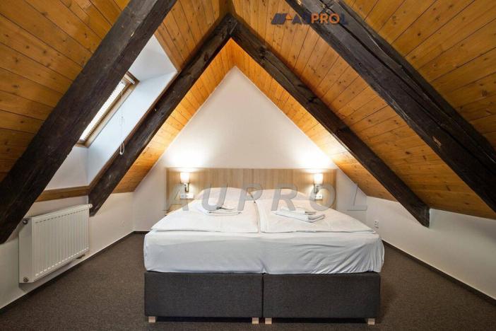 Prodej ubytování, Český Krumlov - Vnitřní Město, Široká, 400 m2