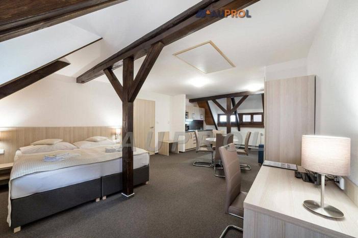 Prodej ubytování, Český Krumlov - Vnitřní Město, Široká, 400 m2