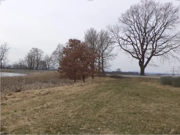 Dražba louky, Dříteň, 1815 m2