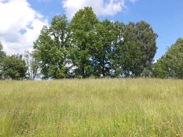 Dražba louky, Hnátnice, 1570 m2