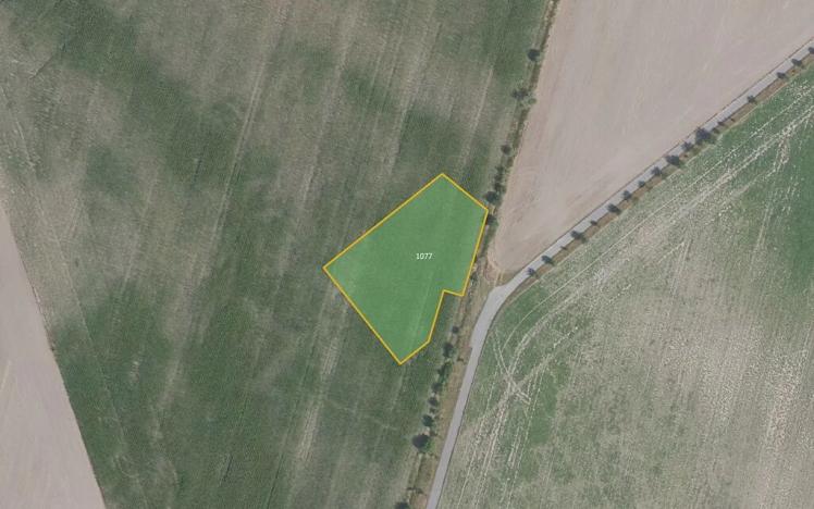 Prodej pole, Čachovice, 55278 m2