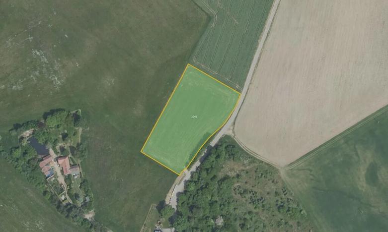 Prodej pole, Nalžovice, 5796 m2