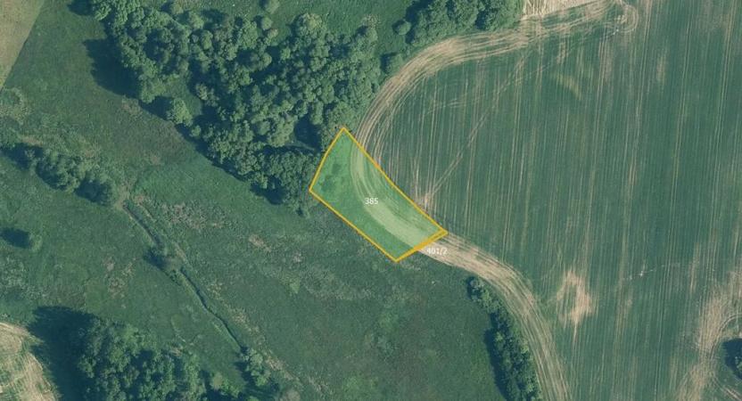 Prodej louky, Mohelnice, 17050 m2