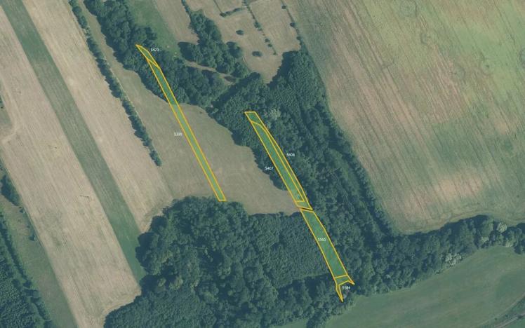 Prodej pole, Police, 14619 m2