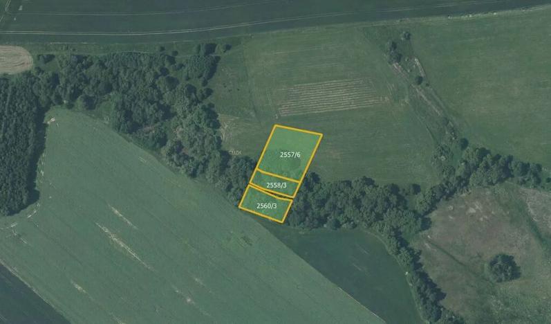 Prodej louky, Vítkov, 5637 m2