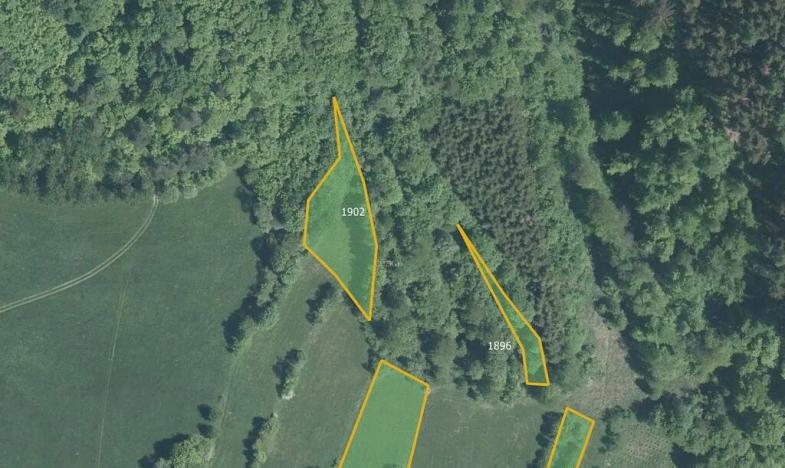 Prodej louky, Lužná, 3216 m2