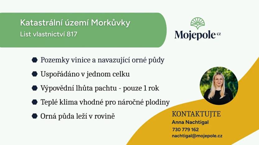 Prodej sadu/vinice, Morkůvky, 4640 m2