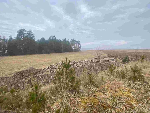 Prodej pole, Hospříz - Hrutkov, 7435 m2