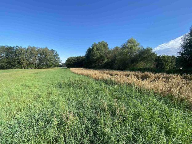 Prodej pozemku, Chlum u Třeboně - Žíteč, 1447 m2