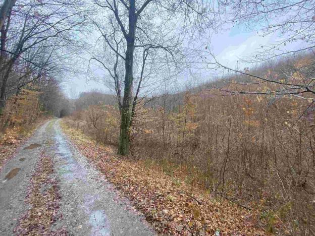 Prodej pole, Ždánice, 3207 m2