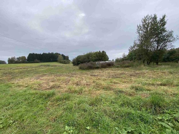 Prodej pozemku, Nová Bystřice - Senotín, 11798 m2