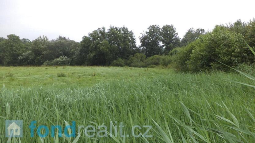 Prodej pozemku, Golčův Jeníkov, 996 m2