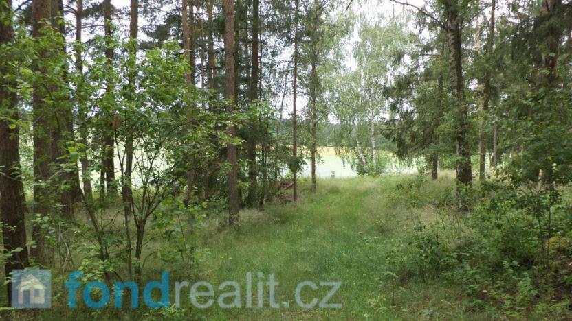 Prodej pole, Číměř, 19541 m2