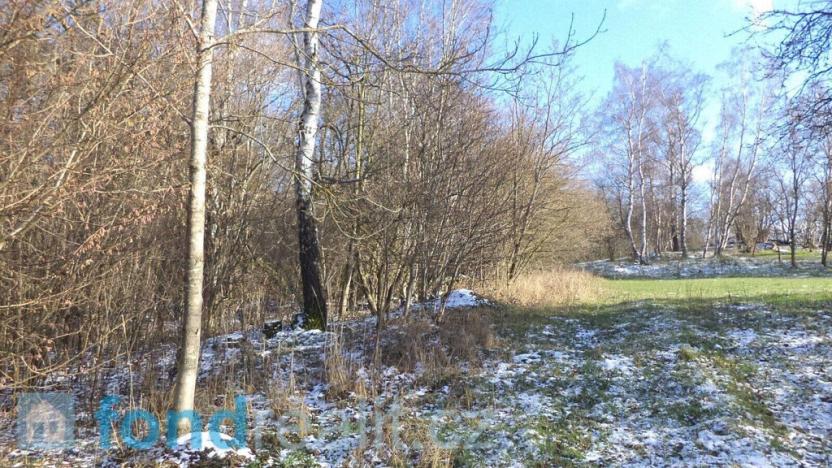 Prodej pozemku, Staré Město pod Landštejnem, 3575 m2