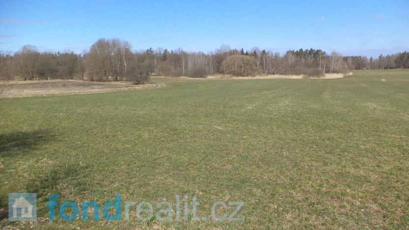 Prodej pole, Stříbřec, 10919 m2