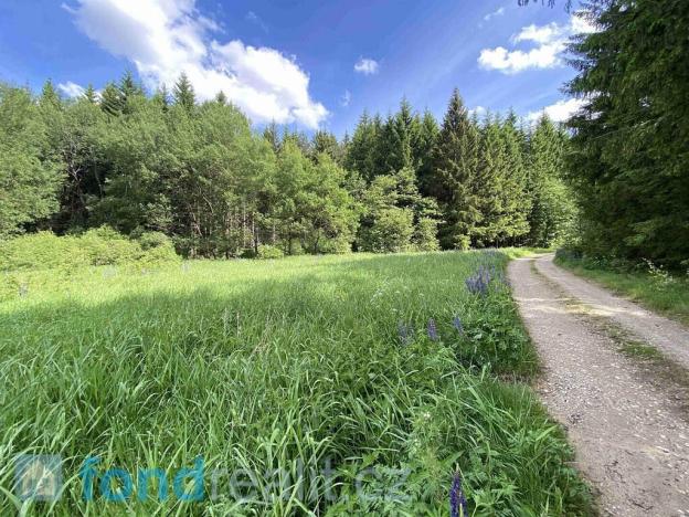 Prodej pozemku, Slavonice - Stálkov, 27662 m2