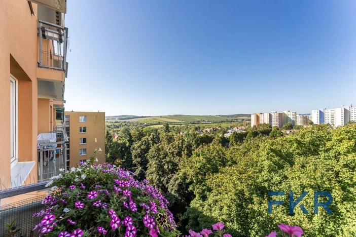 Prodej bytu 2+kk, Brno, Arménská, 53 m2