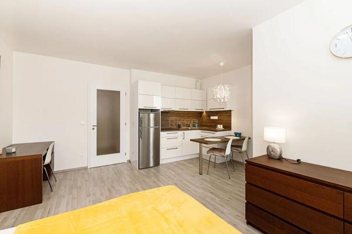 Pronájem bytu 1+kk, Praha - Vysočany, Strnadových, 33 m2