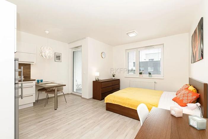 Pronájem bytu 1+kk, Praha - Vysočany, Strnadových, 33 m2