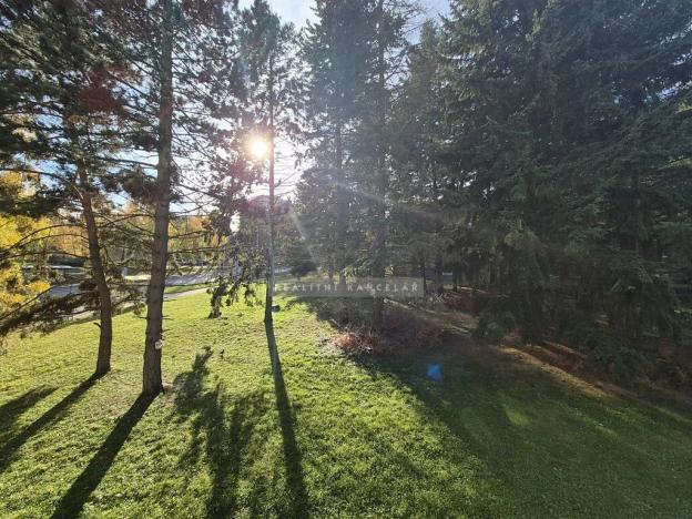 Pronájem bytu 1+1, Brno, 28 m2