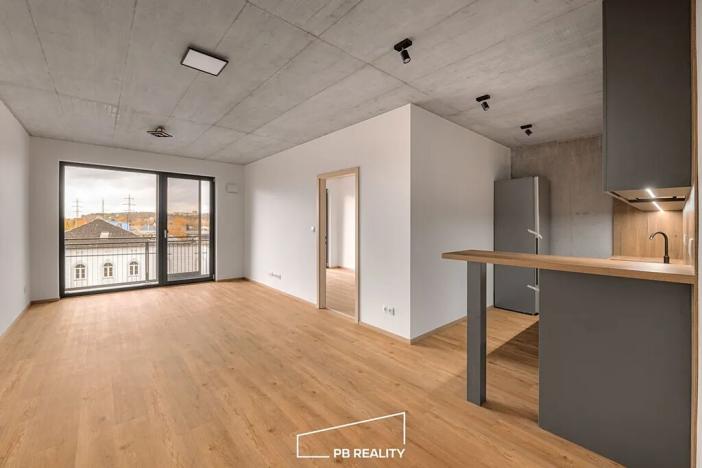 Pronájem bytu 1+kk, Plzeň, Kamenická, 55 m2