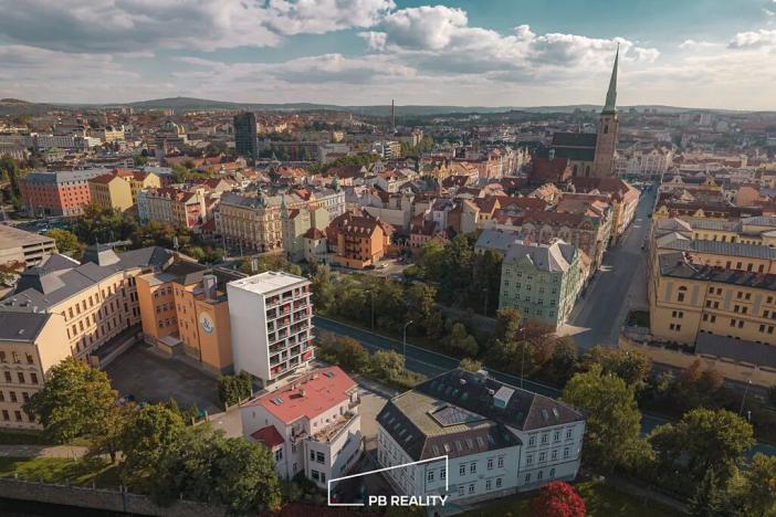 Pronájem bytu 1+kk, Plzeň, Kamenická, 55 m2