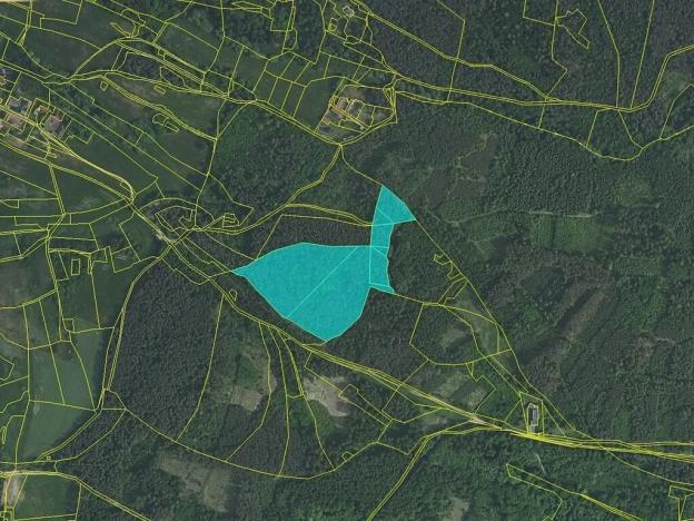 Prodej lesa, Kozárovice, 40085 m2