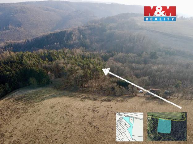 Prodej lesa, Městečko Trnávka - Stará Roveň, 81768 m2