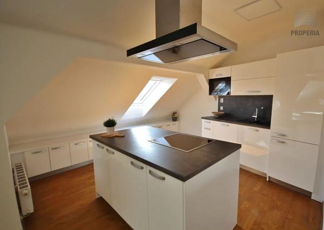 Pronájem bytu 4+kk, Brno, Ríšova, 118 m2