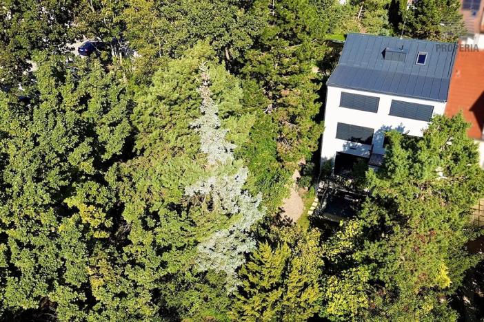 Prodej kanceláře, Brno, Obecní, 287 m2