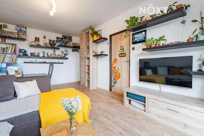 Prodej bytu 3+1, České Budějovice, Lidická tř., 60 m2