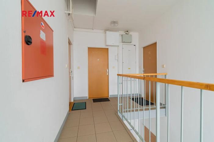 Pronájem bytu 1+kk, Přeštice, Na Chmelnicích, 41 m2