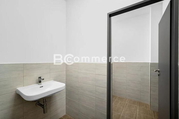 Pronájem výrobních prostor, Brno, Vinohradská, 446 m2