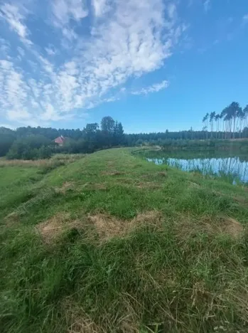 Pronájem rybníku, Komárovice, 9025 m2