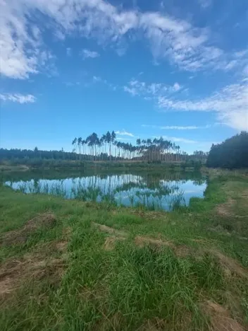 Pronájem rybníku, Komárovice, 9025 m2