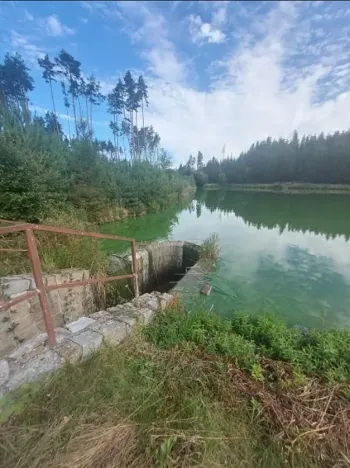 Pronájem rybníku, Komárovice, 9025 m2